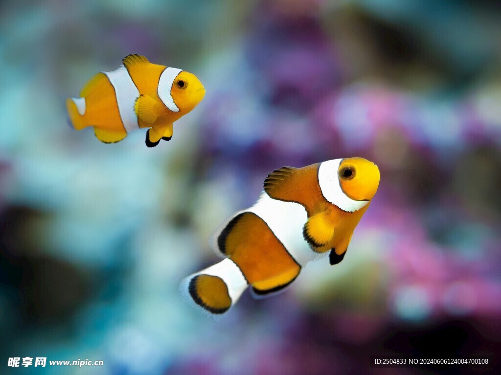 海底世界