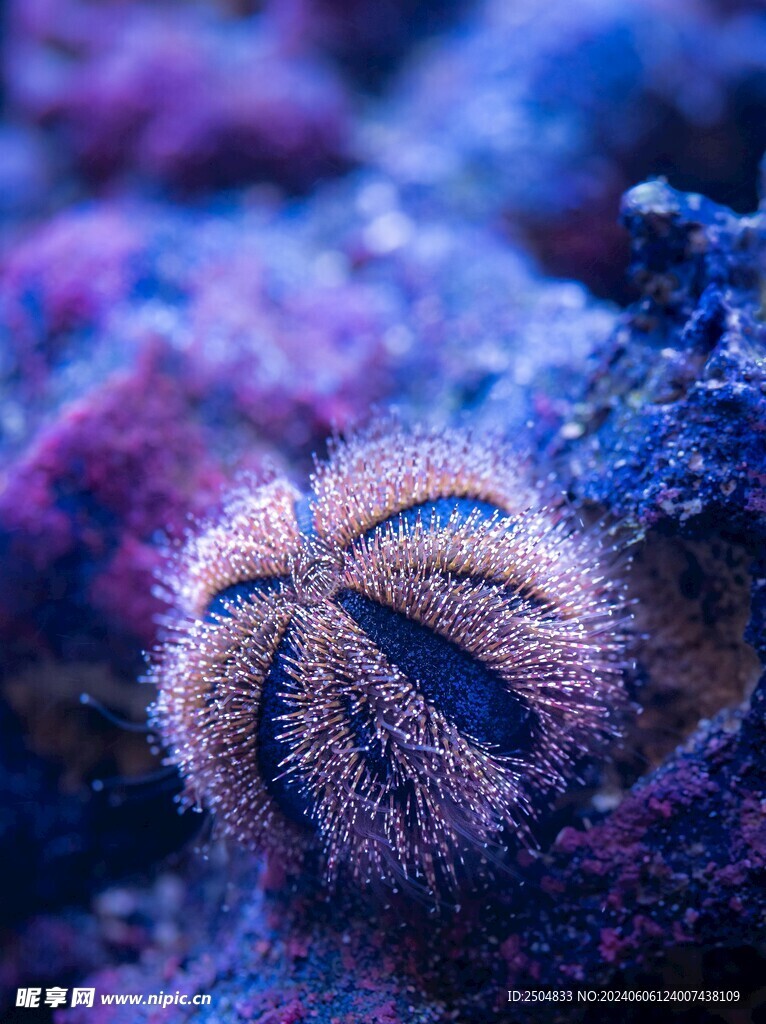 海底世界