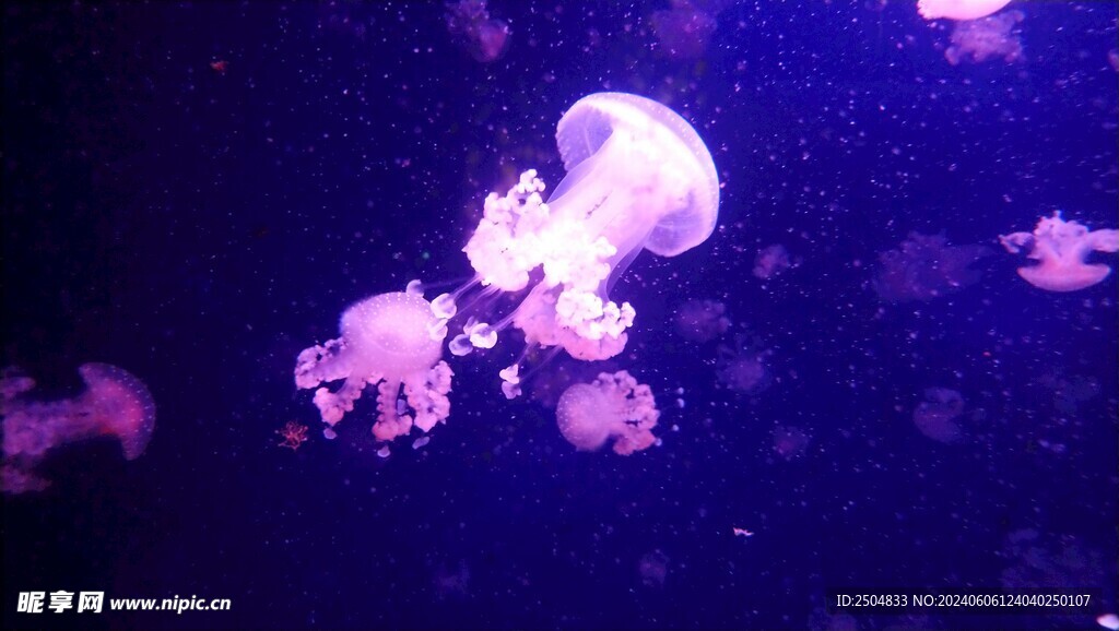 海底世界