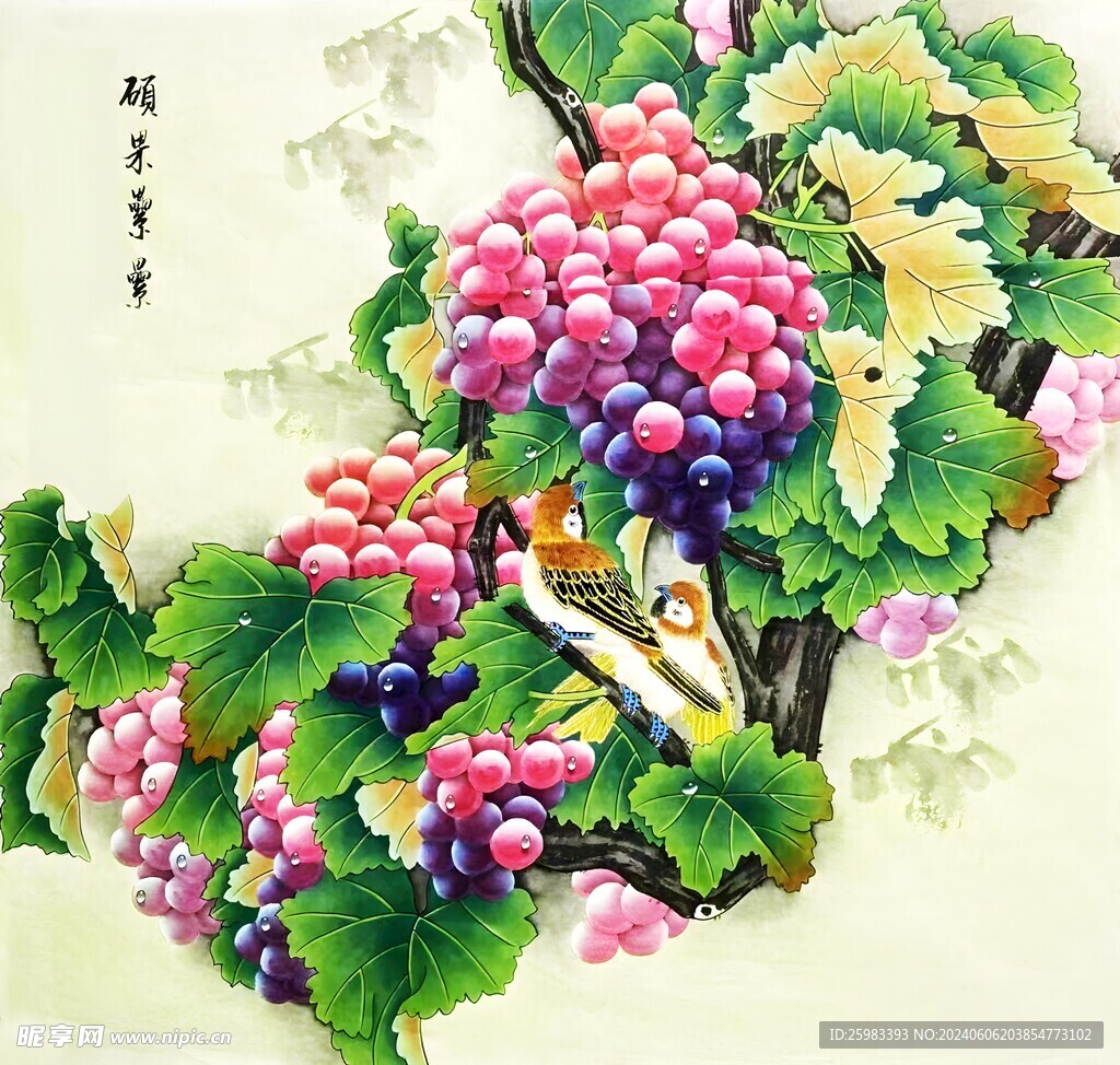 葡萄丰收图