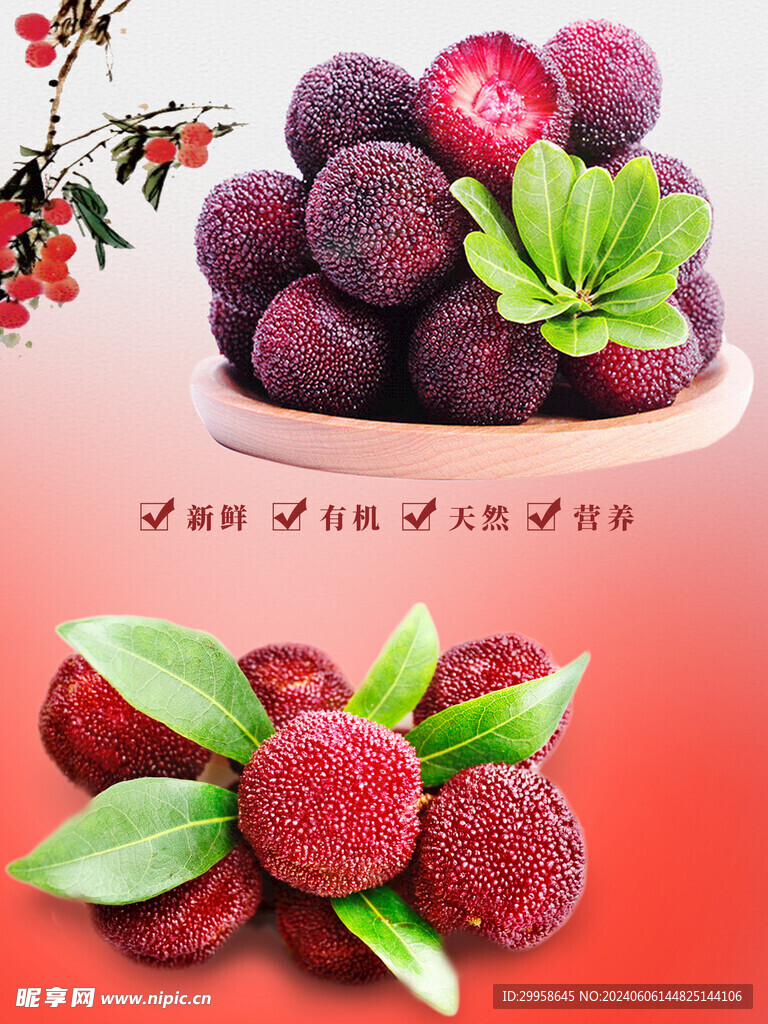 杨梅图片