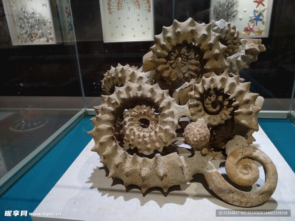 贝壳雕塑