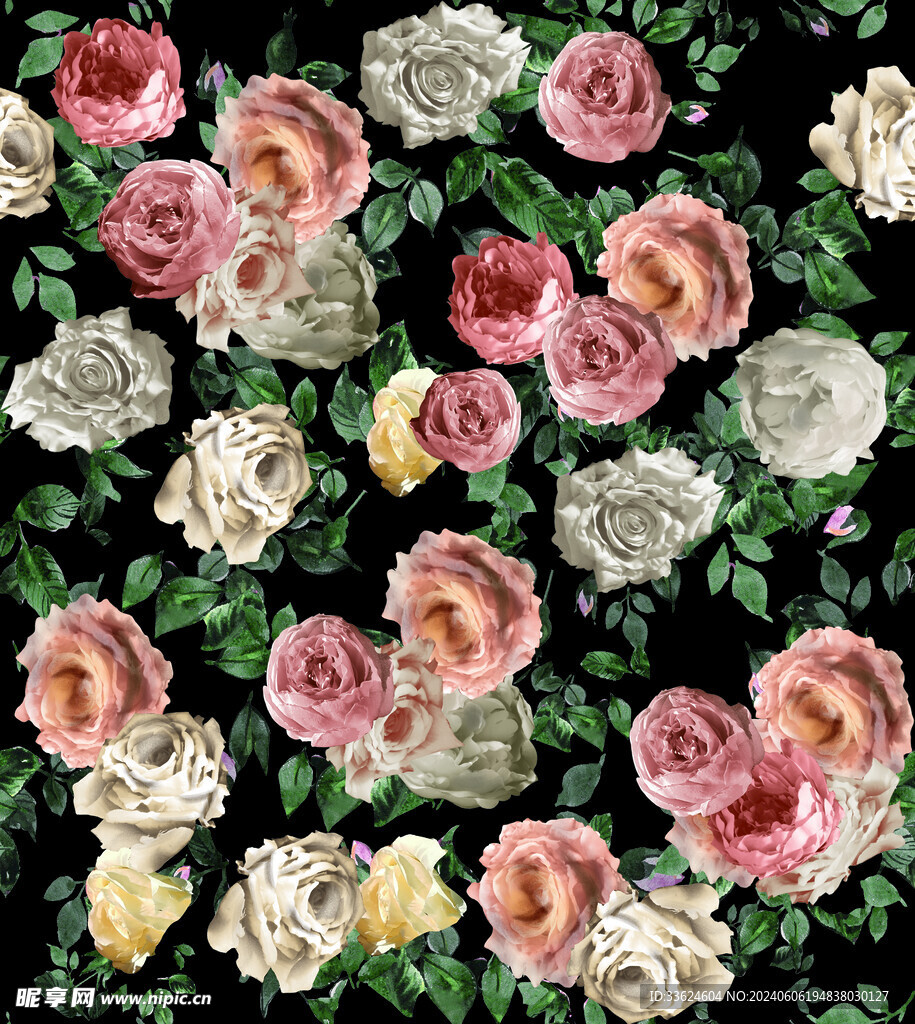 玫瑰花 乱花 
