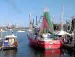 黄金海岸渔港码头风景