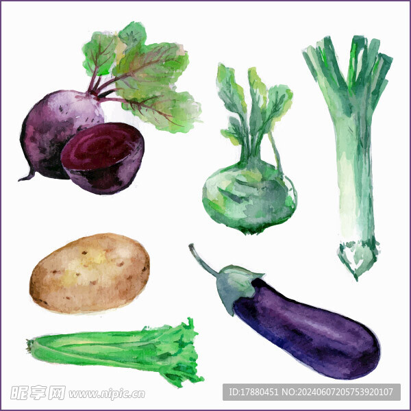 水彩素描蔬菜