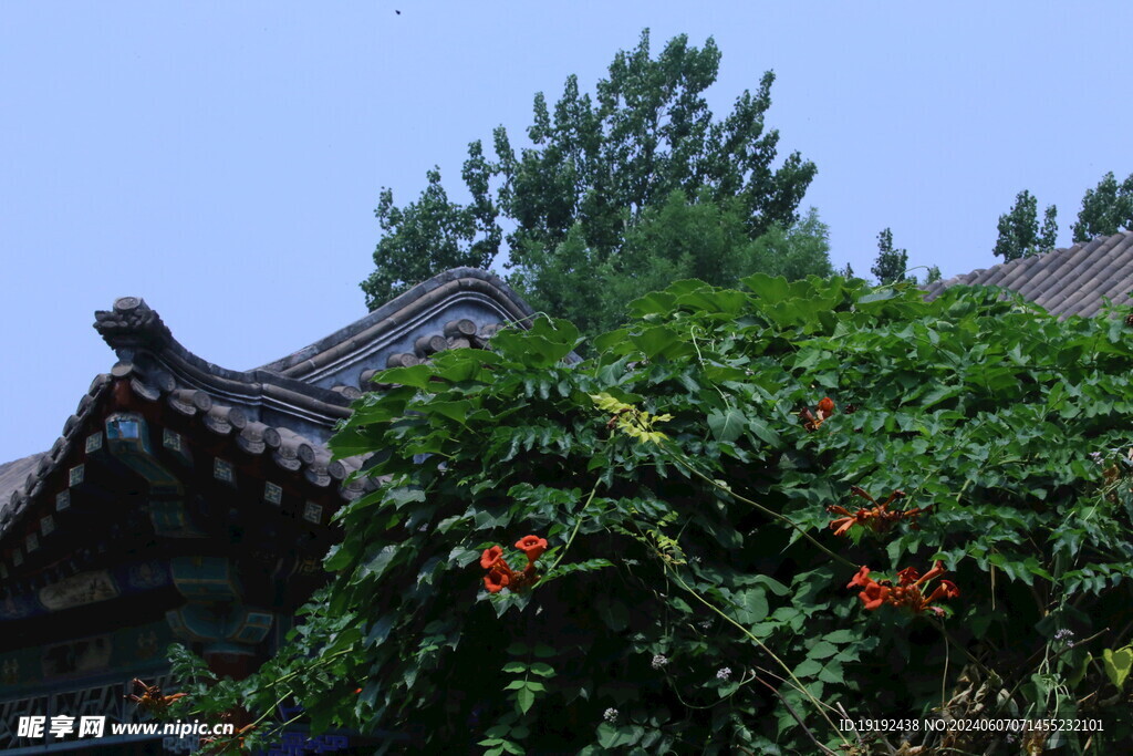 公园风景  