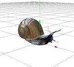 C4D模型 蜗牛