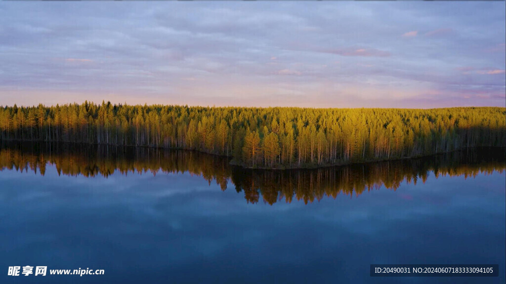 森林湖景