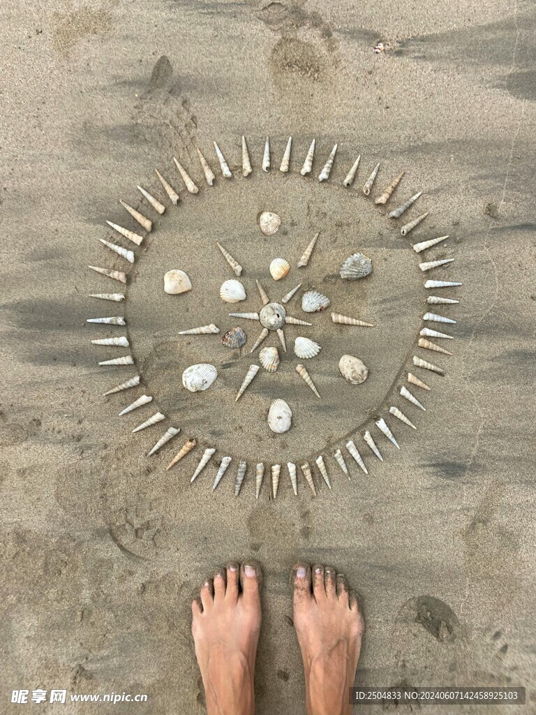 贝壳