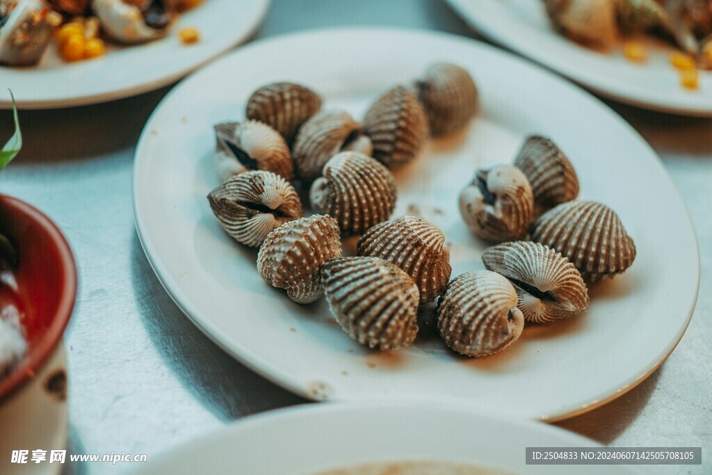 贝壳