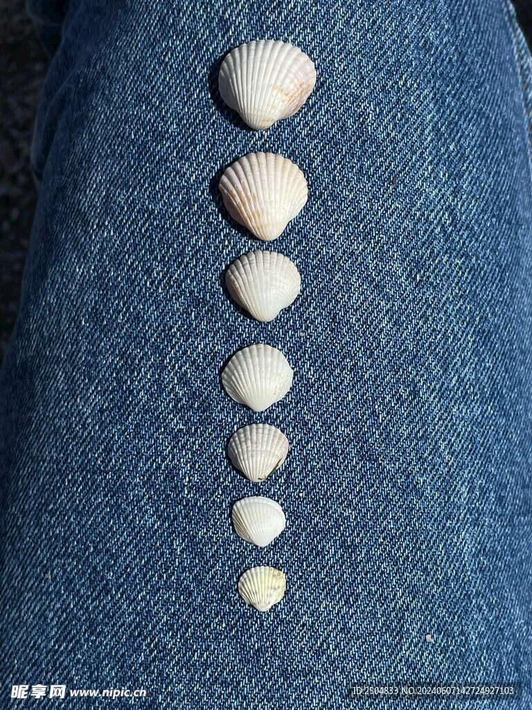 贝壳
