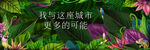 热带雨林形象
