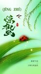 惊蛰