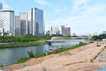 城市公园