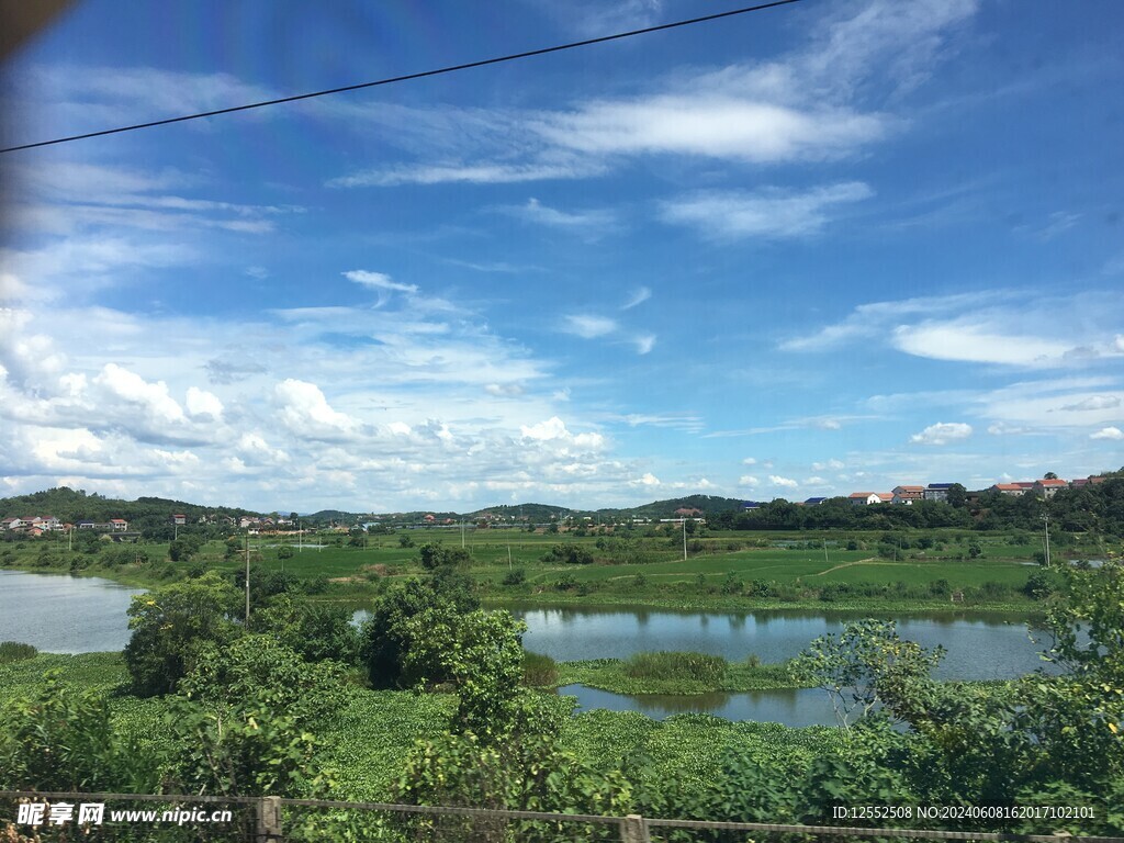 乡村风景树