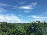 天空树林