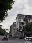 老房子树建筑天空