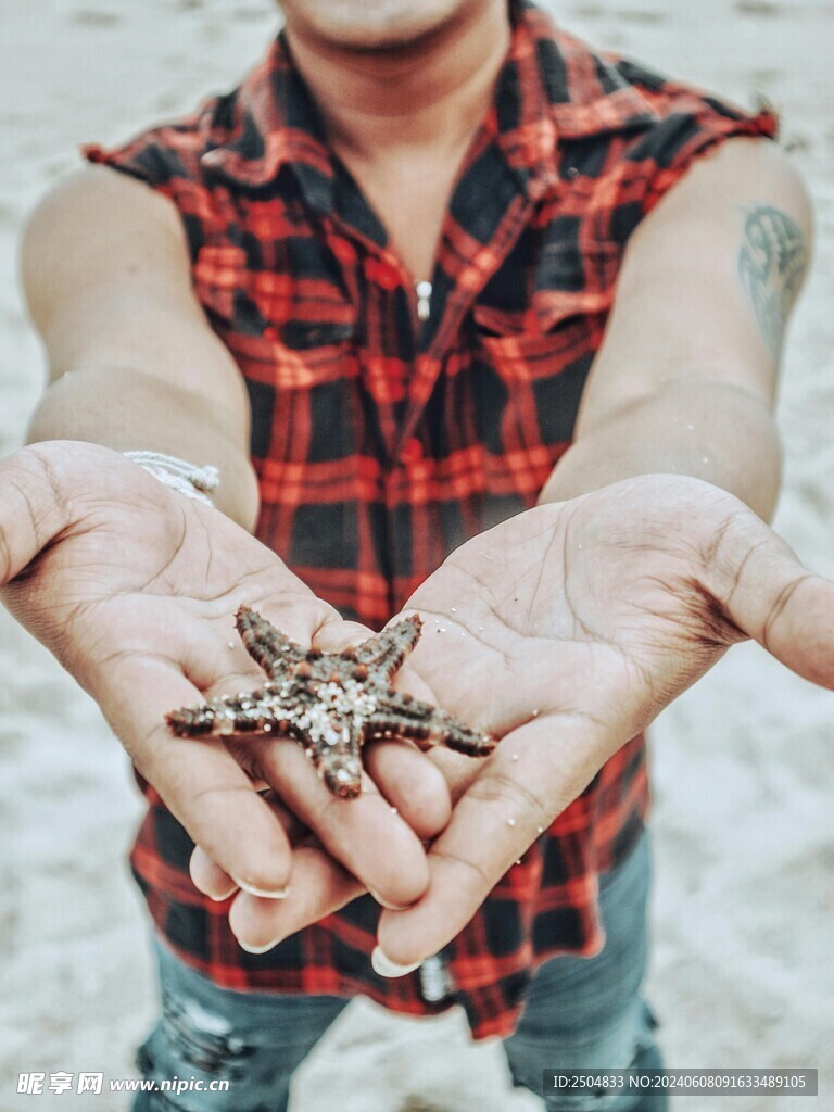 海星