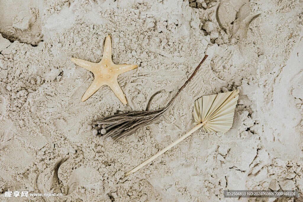 海星