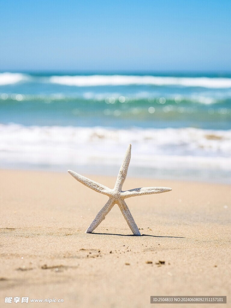 海星