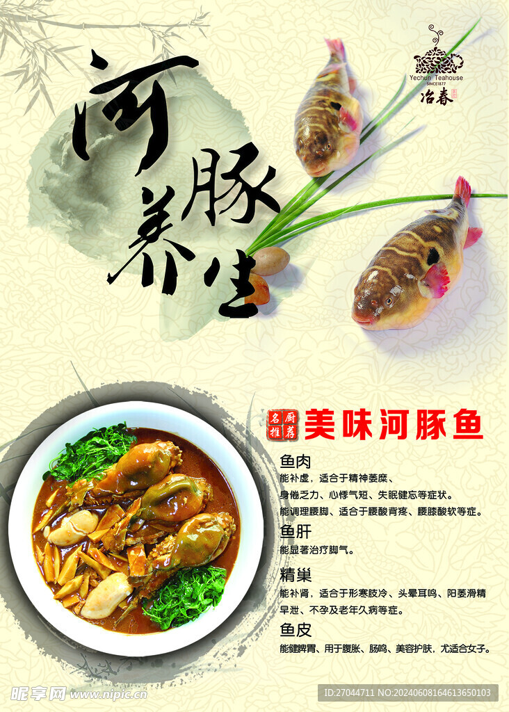 养生河豚