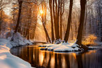 德国冬季森林河流雪