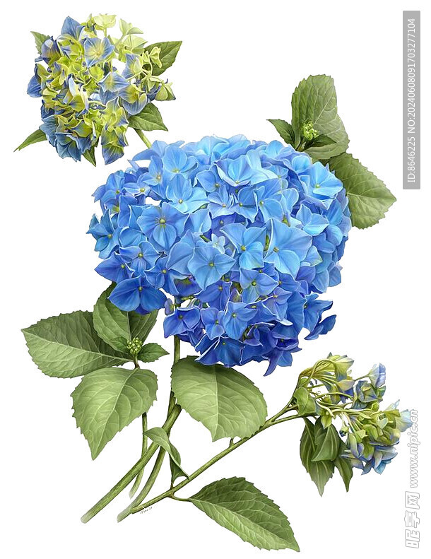 花