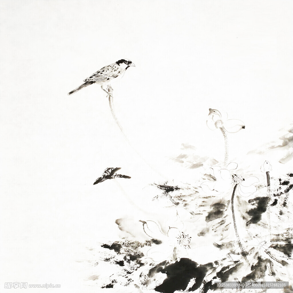 花鸟画