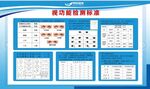 视功能检测