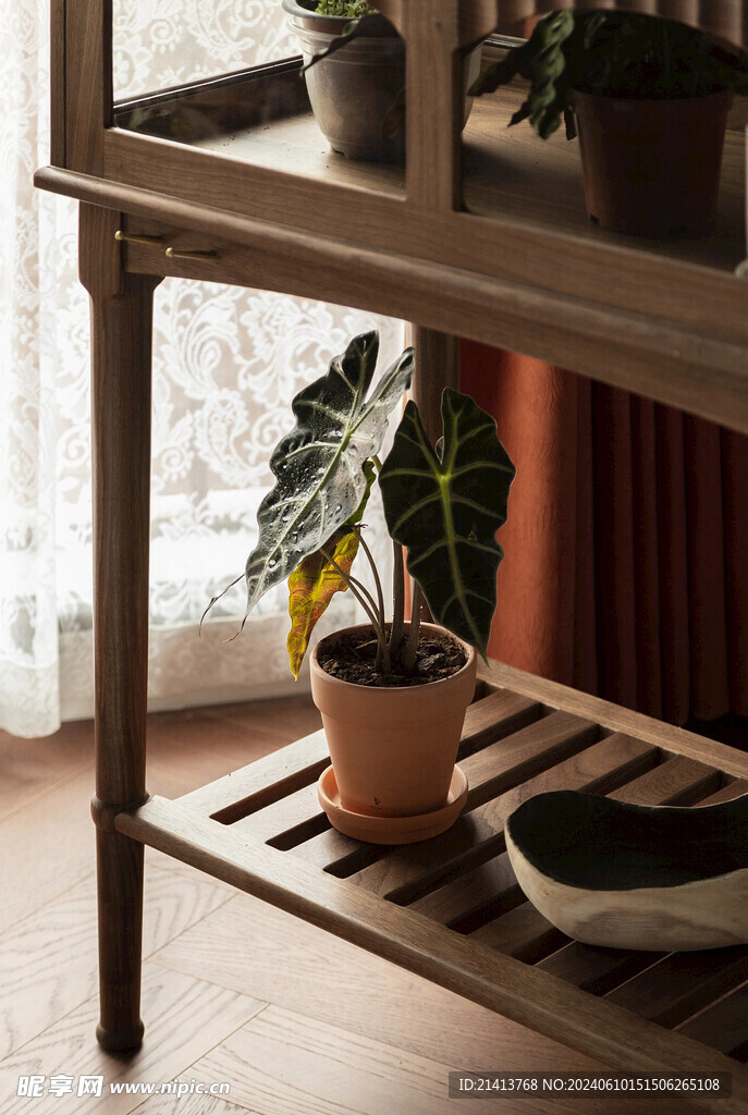 家居绿植摆件