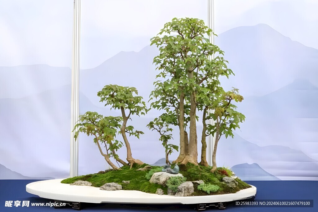盆景
