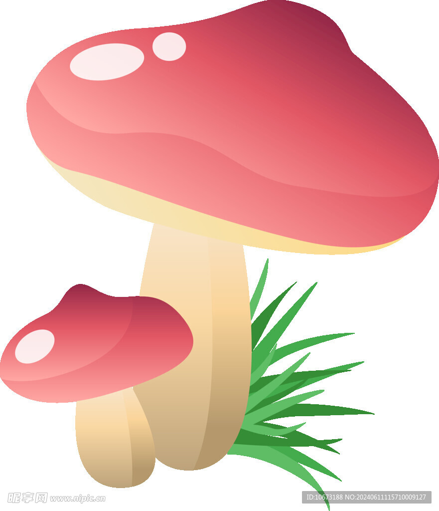 蘑菇