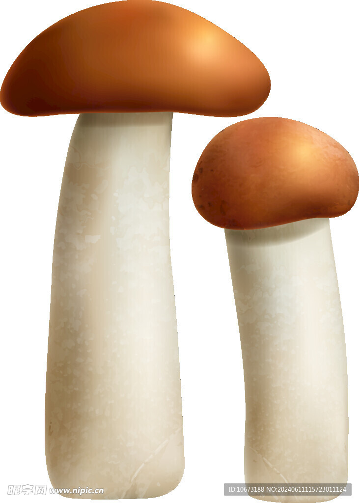 蘑菇
