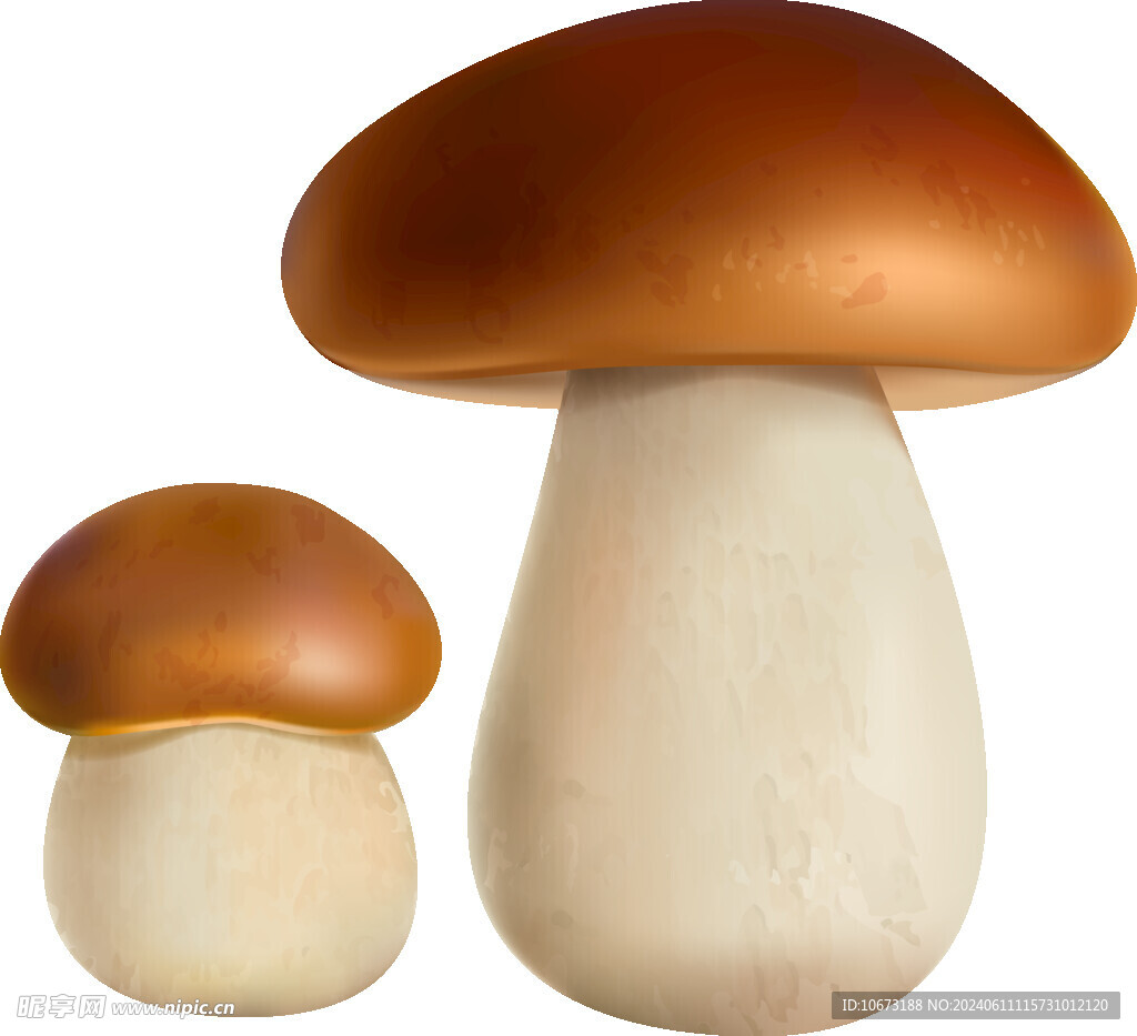 蘑菇