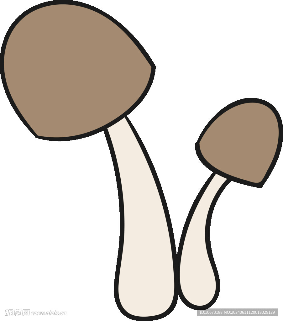 蘑菇