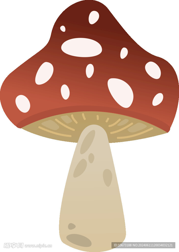 蘑菇