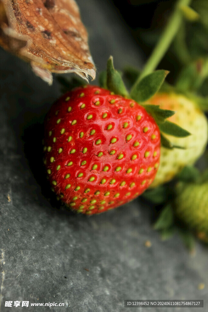 草莓