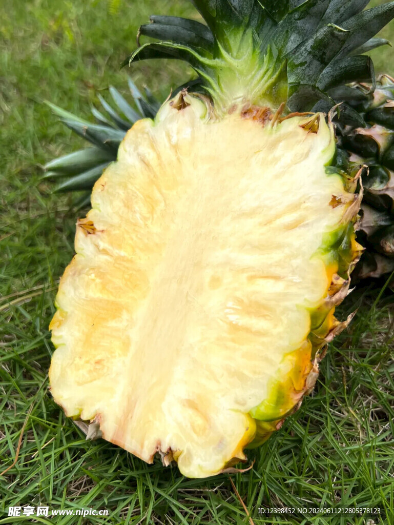 菠萝