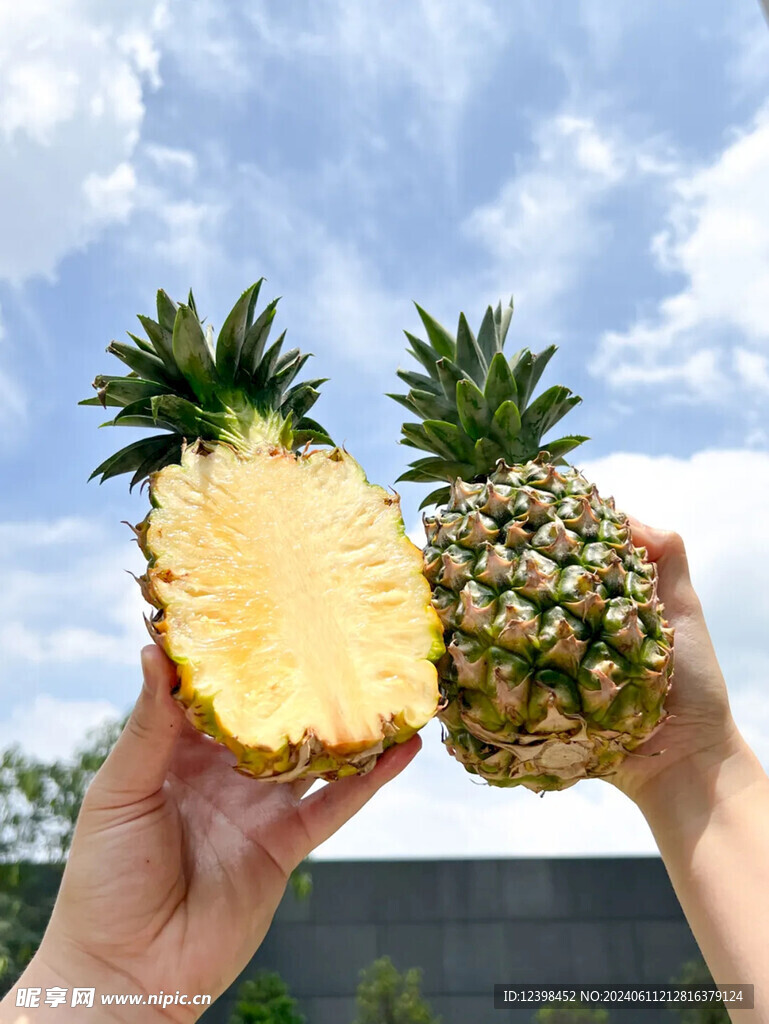 凤梨
