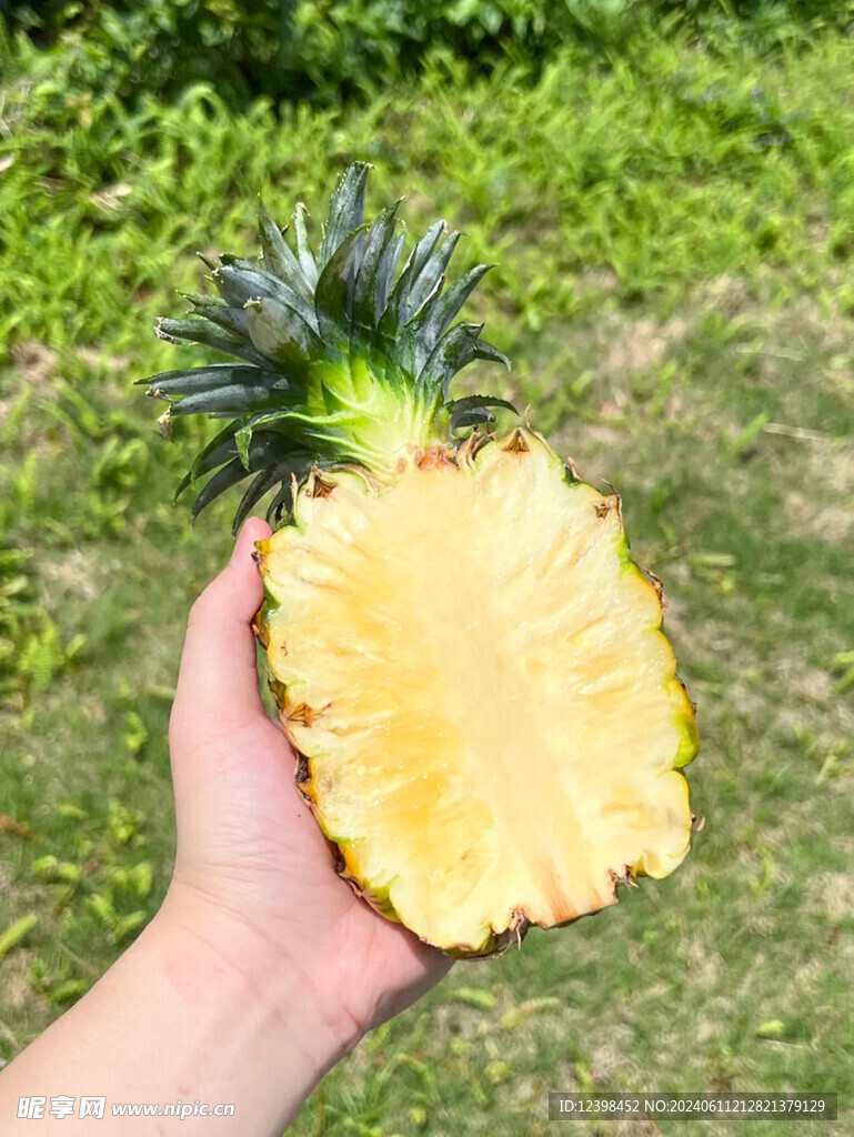 菠萝