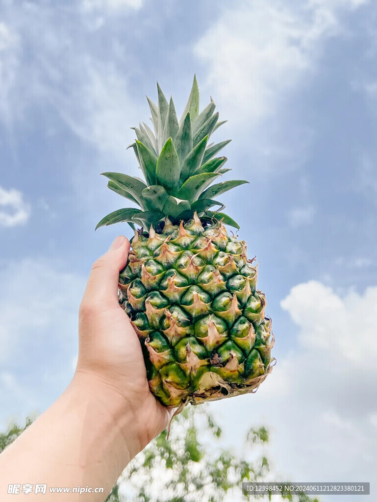 菠萝
