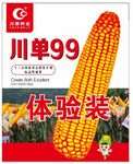 川单