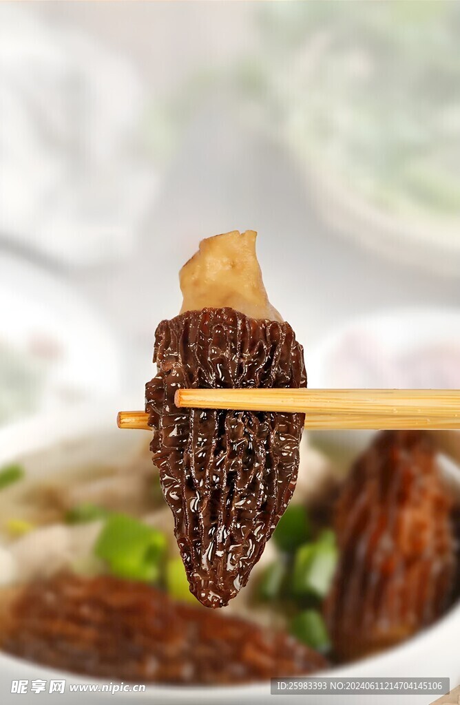 云南菌菇