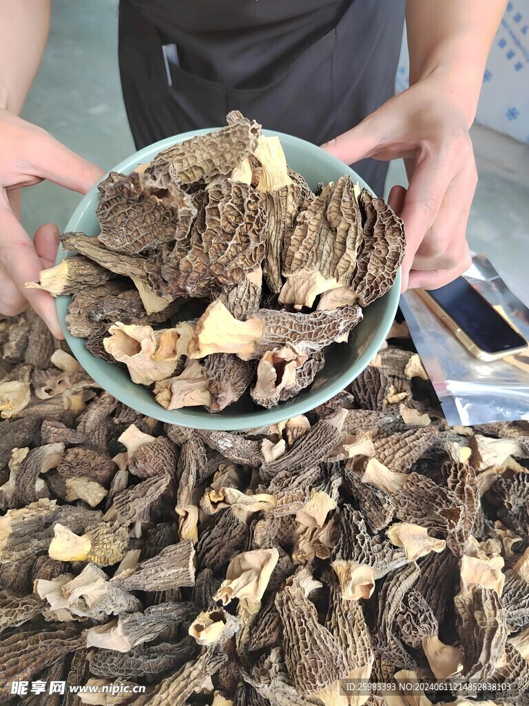 云南菌菇