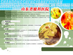          医院制度牌 