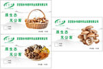 蘑菇贴纸