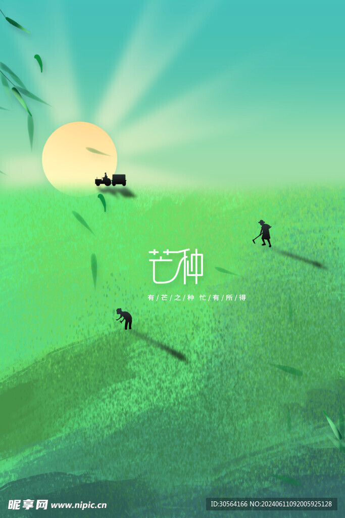 芒种