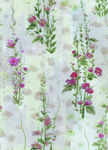 过期鲜花
