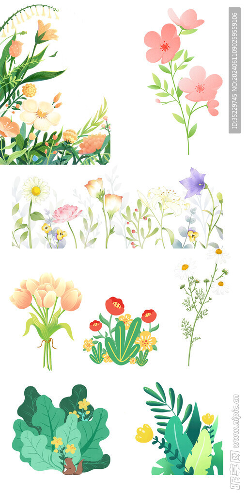 手绘花朵花卉植物元素插画