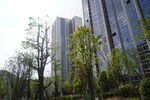 高端建筑